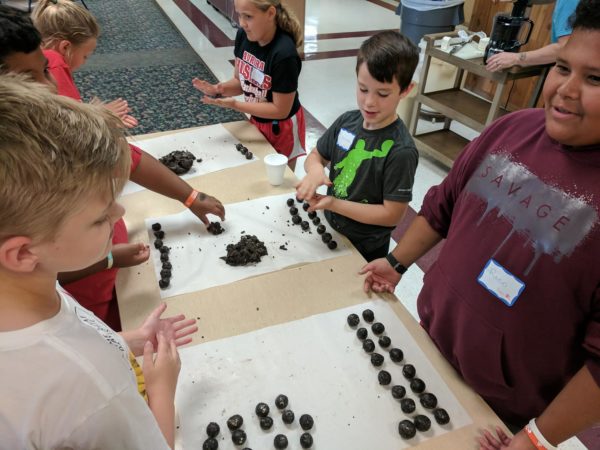 Chemistry of cooking Little Explorers