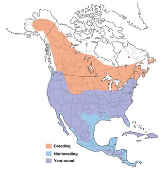 Ted's Route Map