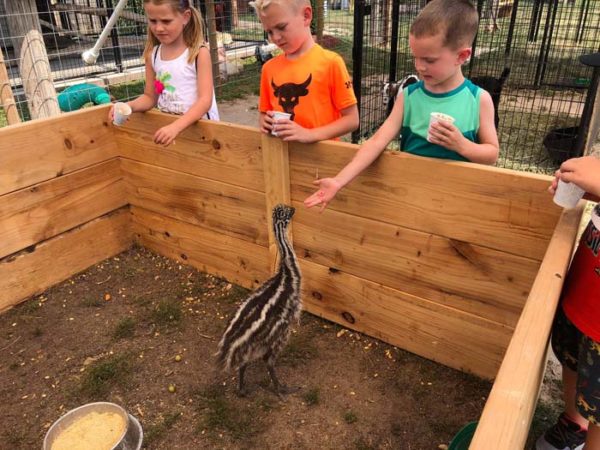 CR manufacturing sod busters & amazing animal adventures 2022 CR manufacturing sod busters & amazing animal adventures 2022