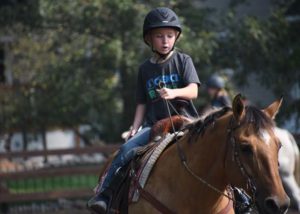 Science of Horses Camp
